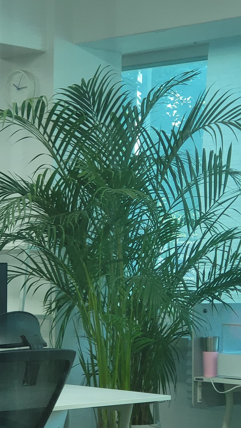 상품등록 테스트  상품이미지1