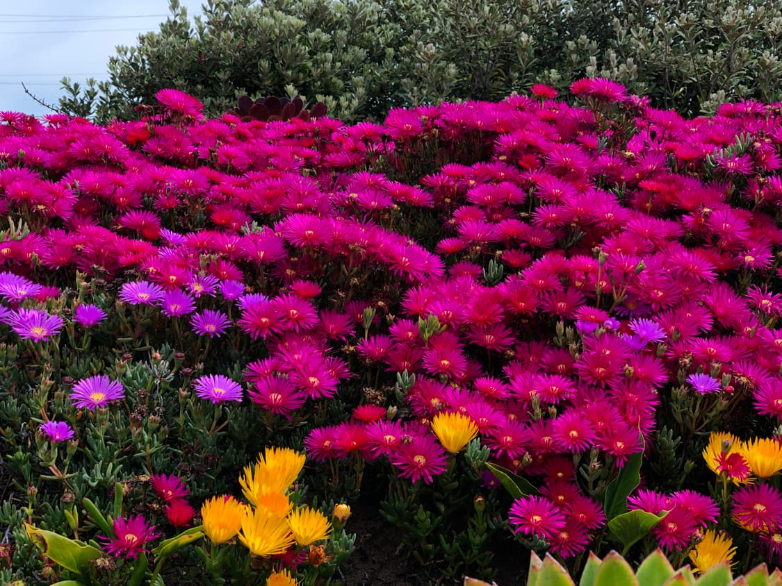 Test 상품이미지2
