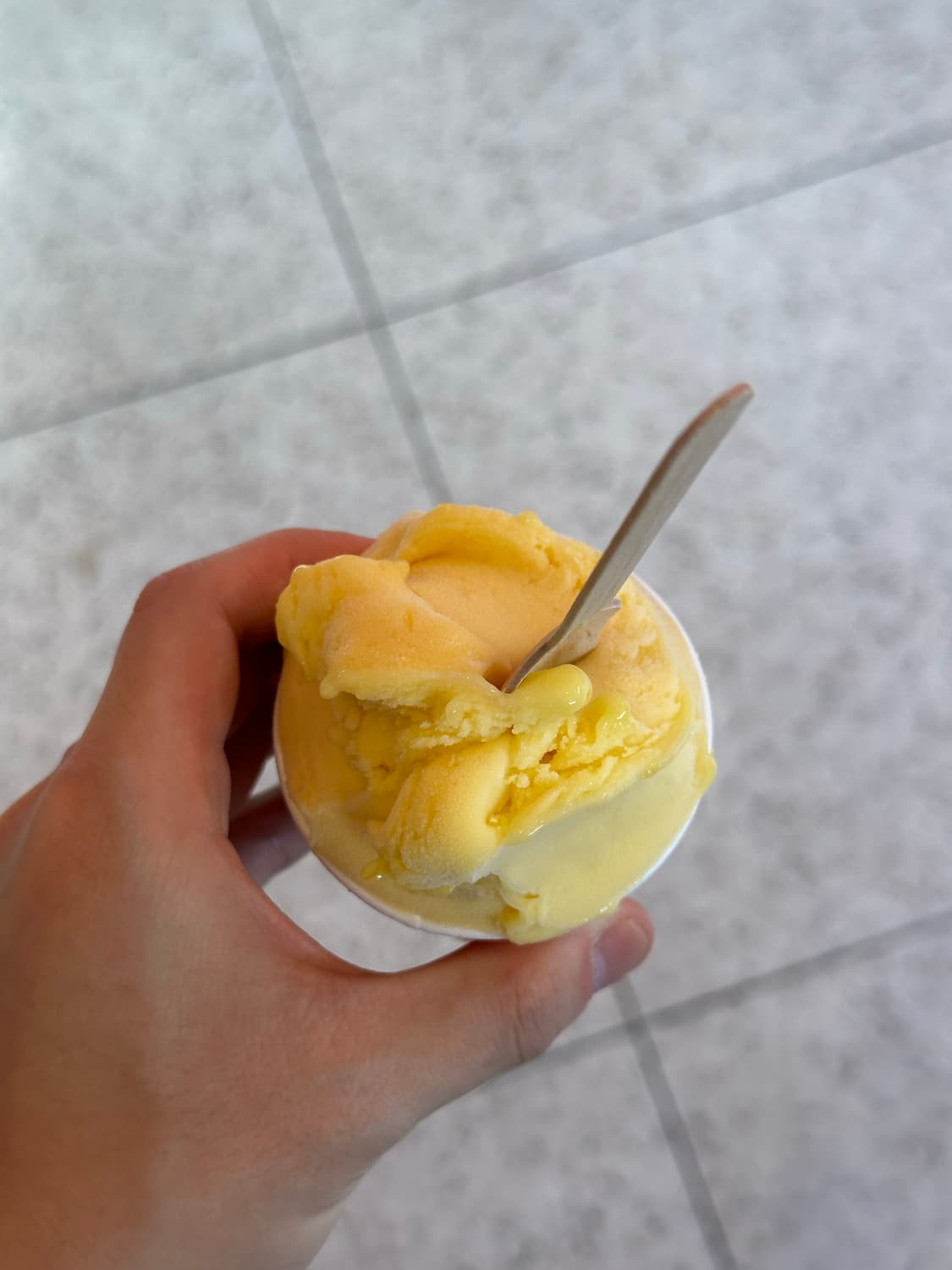 젤라또 상품이미지1