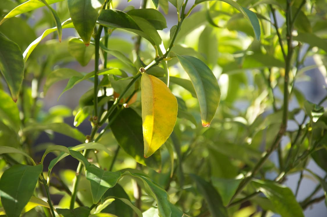 Test 상품이미지1