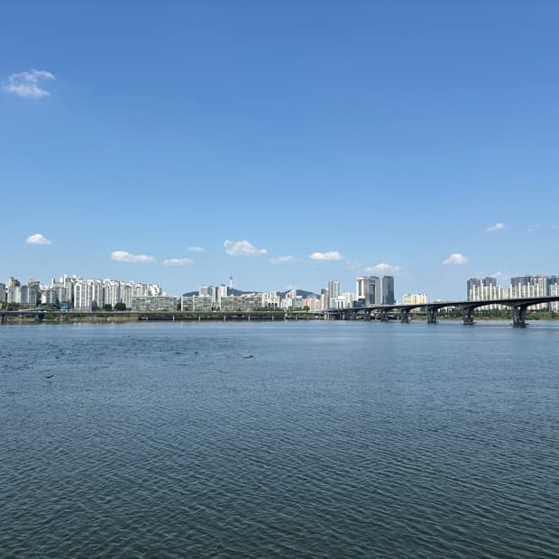 미지정 카테고리