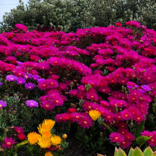 ㅁㄴㅇㄹㅁㄴㅇㄹ