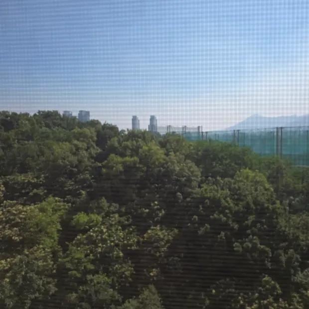 풍경을 팝니다