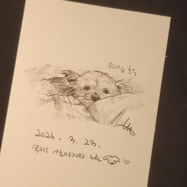 이미지 테스트4