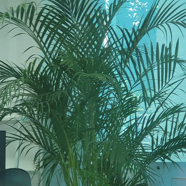 상품등록 테스트